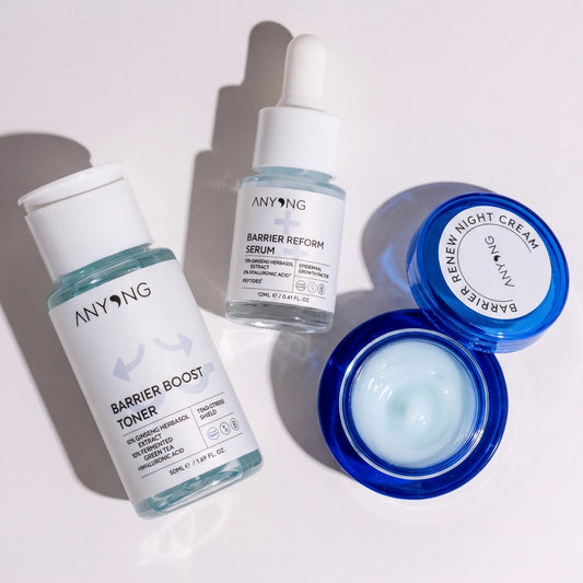 Anyong - Barrier Repair Kit